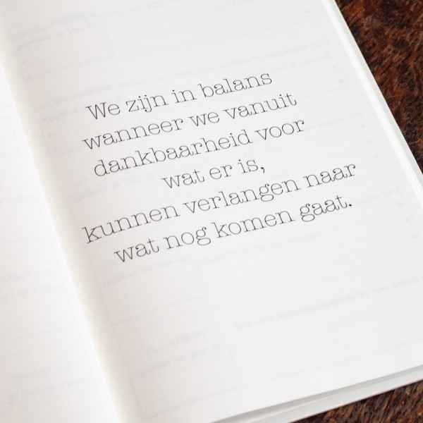 DANKBAARHEIDSDAGBOEK