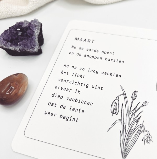 MAAND SETJE