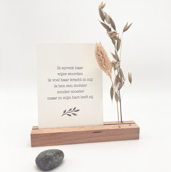 VOOR DOCHTERS ZONDER MOEDER