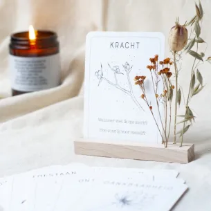 KRACHTWOORDKAARTEN SETJE