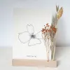 KAART, STANDAARD & DROOGBLOEMEN