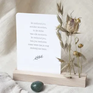 "IK ONTHOUD JOU" MET STEEN