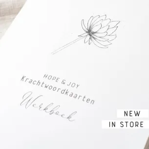 KRACHTWOORDKAARTEN WERKBOEK